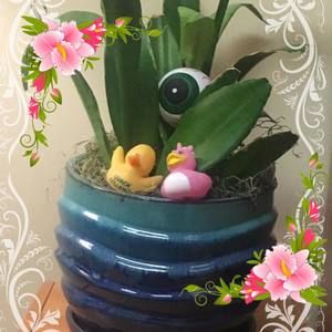 Meet your Posher, Teresa